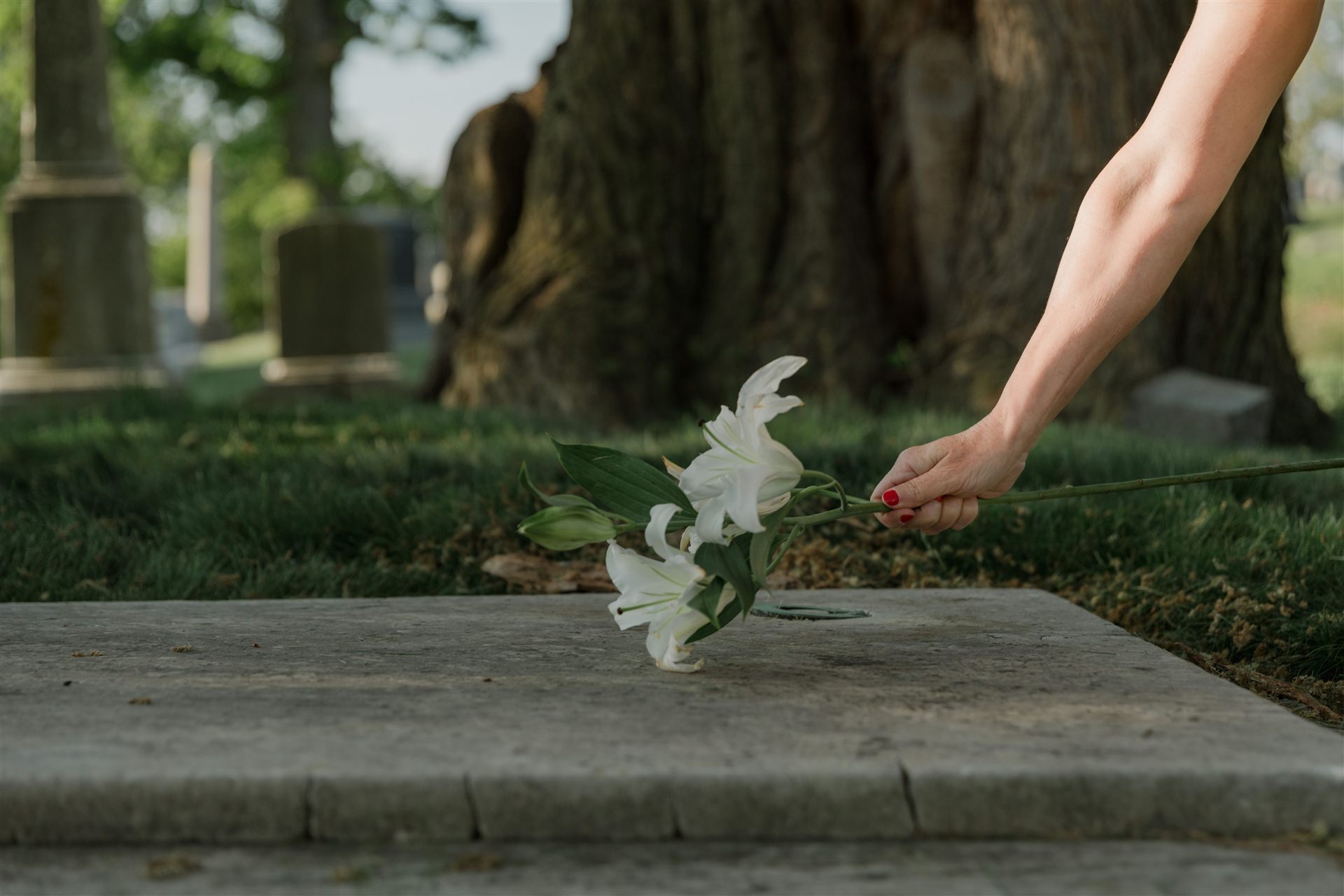 White condolence flowers for a respectful memorial arrangement